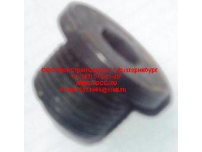 Пробка крышки бортового редуктора М22х1,5 H HOWO (ХОВО) 190003961309 фото 1 Тольятти