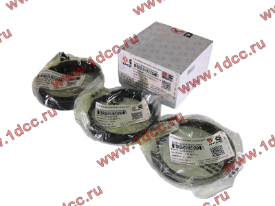Кольца поршневые (компл. на дв-ль) DF DONG FENG (ДОНГ ФЕНГ) C3964073,C3921919,C394841 для самосвала фото 1 Тольятти