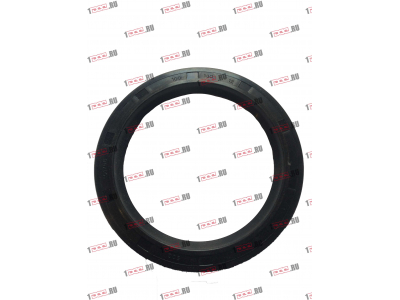 Сальник 100х130х12 Европа ЕВРОПА 030.214-00A фото 1 Тольятти