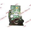 Блок цилиндров двигатель WD615E3 H3 HOWO (ХОВО) AZ109910078AR фото 5 Тольятти